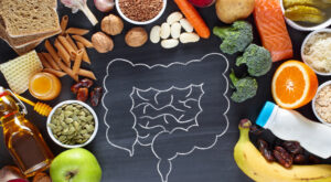 illustration of gut surrounded by food